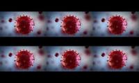Thumbnail of Virus Disruption 6 x Boosted