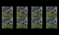 Watch hours increase try video