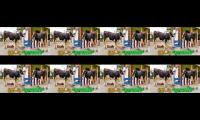 Thumbnail of Video views increasing
