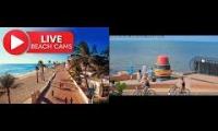 Thumbnail of East coast live cams
