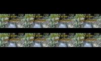 Thumbnail of Skatse tv,skatse tv,skatse tv,skatse tv,skatse tv,skatse tv,skatse tv,skatse tv