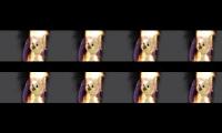 Thumbnail of Ashie-I set my horse on fire to thank you all for 10 subs but eight times