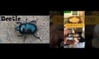 Watch hours for youtube