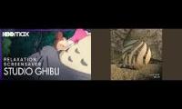 Thumbnail of Miyazaki x Clozee mashup