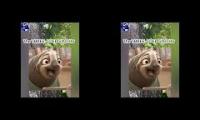 WHAT IS THE SLOWEST ANIMALS IN THE WORLD