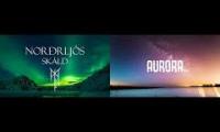 Thumbnail of Northen Auororas (K-391 ft SKALD)
