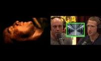 Thumbnail of thehorror12w3123213123