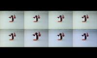 Pingu Season 2 (8 episodes at once) #2
