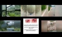 MittaiBaby vlogs  all types of videos is there like nature, poet, etc