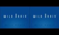 W!LDBRAIN/Nicktoons (2002-2003)
