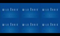 W!LDBRAIN/Nickelodeon (2002-2007)