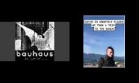 Thumbnail of Goths in Bela Lugosi dead places