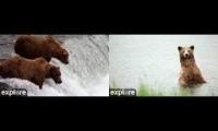 Thumbnail of bear falls and lower river cams