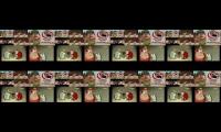 Randomized video 8 times