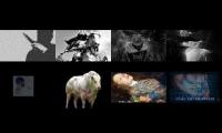 Thumbnail of Attraction, Personality, and ...