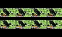 Thumbnail of DUNIA BINATANG | Berbagai macam burung