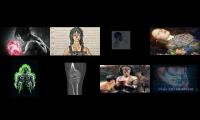 Thumbnail of Attraction, Size, Personality