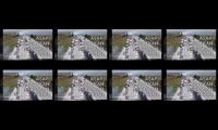 Thumbnail of Asap akibatkan tabrakan beruntun