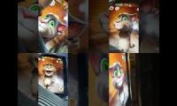 Thumbnail of dsfsdsdfsdffdsdsfsdfdf