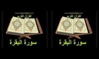 Thumbnail of Sorah Al  Baqara Roqia Schariya