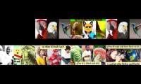 Thumbnail of 10 amazing fact in the world