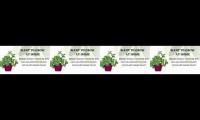 Thumbnail of wh increase organically by