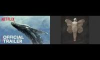 Thumbnail of OUR PLANET x UNDER THE WATER