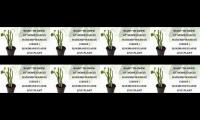 Thumbnail of Title of Mashup (20-100 char. required) :