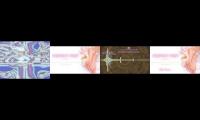 Thumbnail of Binaural Fungus Destroyer