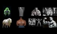 Thumbnail of Testosterone Supplementation 2