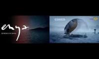 Enya - Echoes In Rain