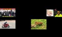 Thumbnail of perfect synchronization