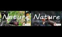 Thumbnail of Nature Beauty Animals