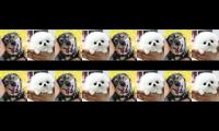 Thumbnail of Gummy bear 23 pasion