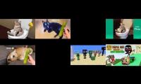 Thumbnail of 2 Monster school minecraft animation vs 6 funny dogs cats