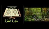 Thumbnail of sorah al  baqara Roqia