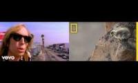 Thumbnail of Goslings Big Adventure
