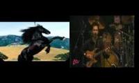 Cynic with horses hbbbbbbbb