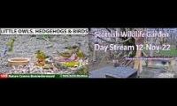 Thumbnail of Amazingearthanimalslivestream