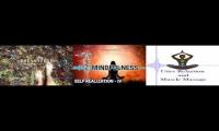 Relax and Meditate Morphic Field