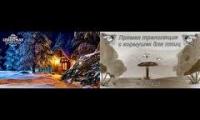 Amazingearthanimalslivestream