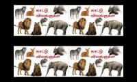Animals name and sounds