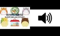 Thumbnail of The Rodent Experience