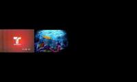 telemundo nicktoons vme kids and pbs kids