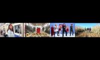 Gangnam Style 4 Mashup
