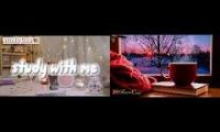Thumbnail of Amazingearthanimalslivestream