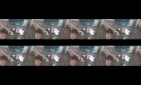 Thumbnail of Cara Sol /Jahit Sepatu Boleh Dicoba DiJamin ngak bakalan pergi ke tukang sol selamanya