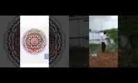Thumbnail of incredible videos in youtube
