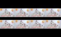 Thumbnail of Animals funny videos