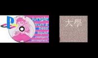 Cornelius Cardew / Nima Gousheh + Playstation jungle mix 01